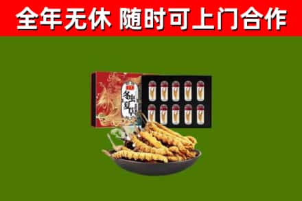 天等县烟酒回收冬虫夏草礼盒.jpg